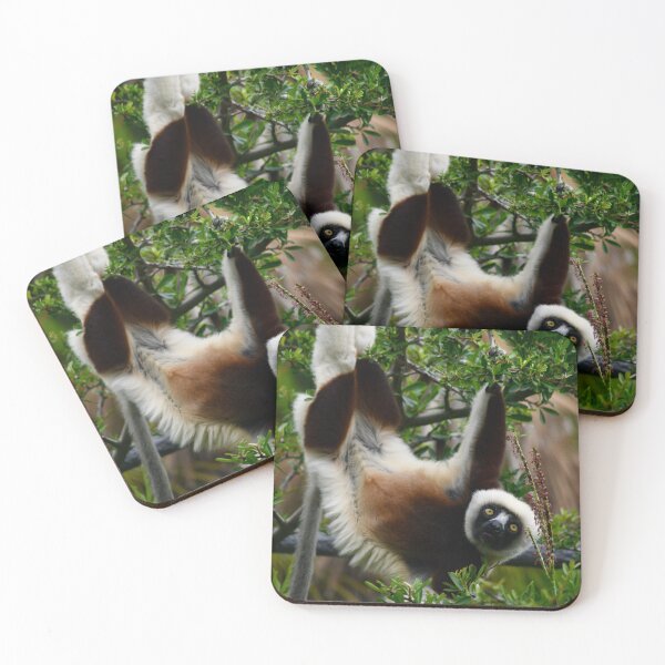 Item preview, Coquerel's Sifaka Lemur Hanging Out designed and sold by richardbryce.