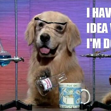 Imagen de la obra Meme de perro químico de vmpdoodles