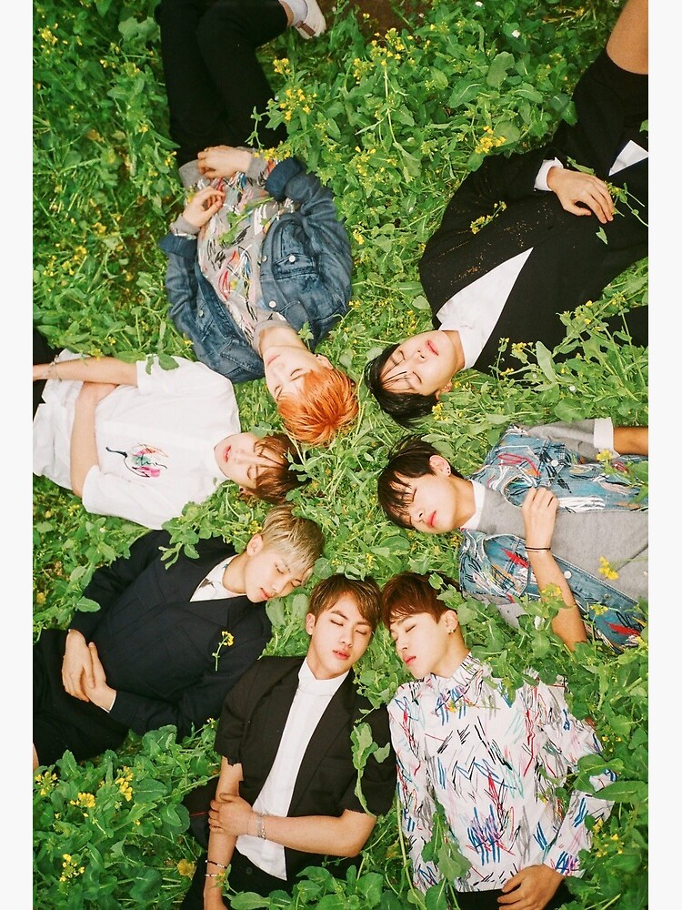 BTS seven members on Grass
