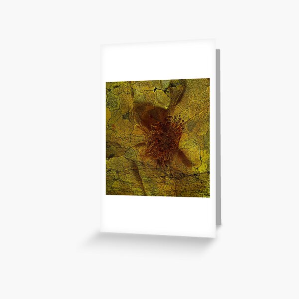 Floral Symbiosis 5 Greeting Card