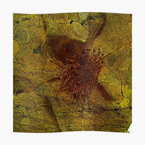 Floral Symbiosis 5 Poster