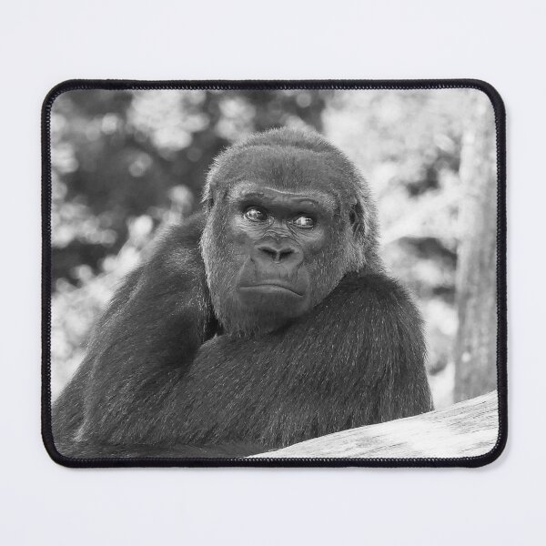 Item preview, r618/ finition 2022 : Gorilla atitude and Expression of a human by Okaio Création  Olavia - Olao designed and sold by o.okaïo.