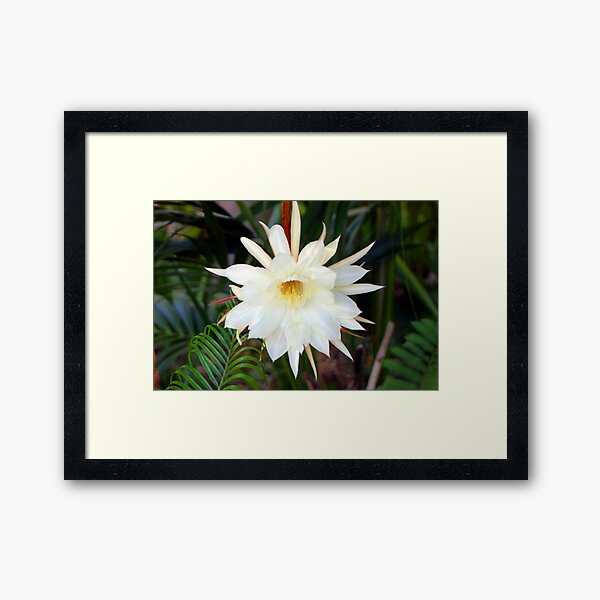 Aperçu de l'œuvre Moonflower créée et vendue par Bilgolaj.