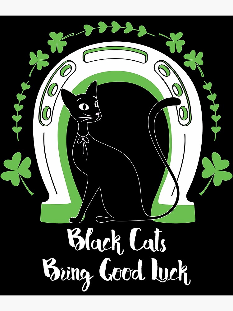 why-do-black-cats-mean-bad-luck-5-fun-facts-cat-world