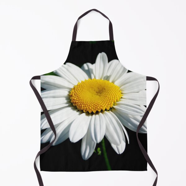 Item preview, Stunning White Shasta Daisy Photograph designed and sold by taiche.