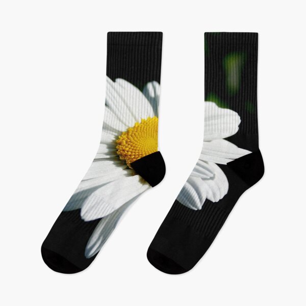 Item preview, Stunning White Shasta Daisy Photograph designed and sold by taiche.