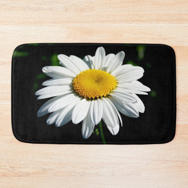 Item preview, Stunning White Shasta Daisy Photograph designed and sold by taiche.