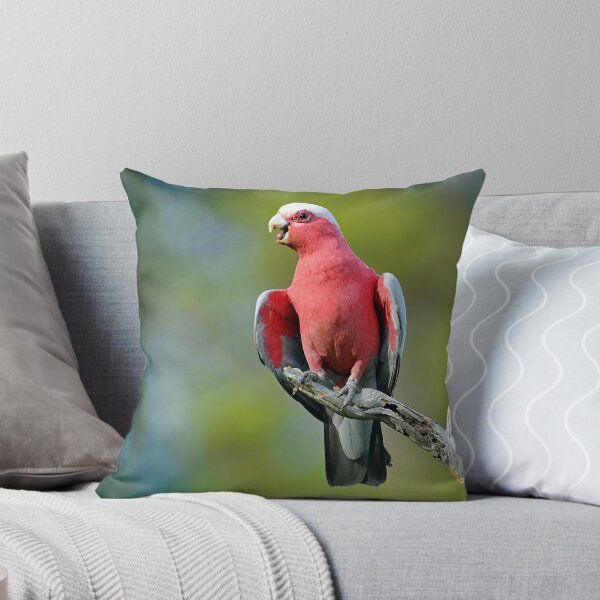 Artikelvorschau, Galah. Brisbane, Queensland, Australia. entworfen und verkauft von Ralph de Zilva.