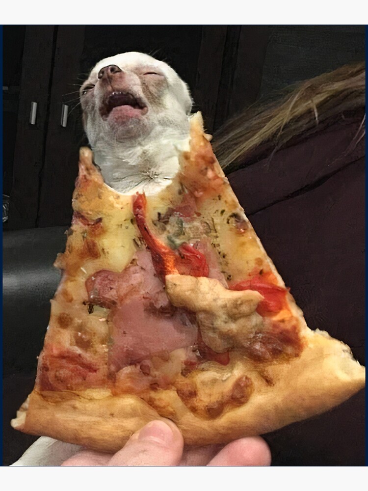 "Hund frisst ein PizzaMeme Mein Hund hat ein lustiges Pizzastück