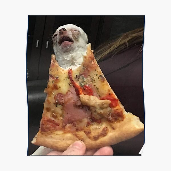 "Hund frisst ein PizzaMeme Mein Hund hat ein lustiges Pizzastück