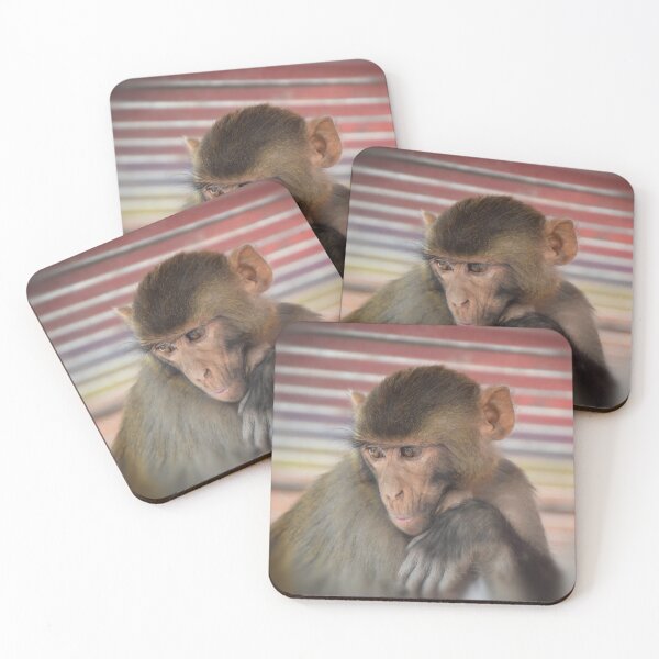 Item preview, Assamese Monkey Portrait(Nepal) designed and sold by fr3spirit7.