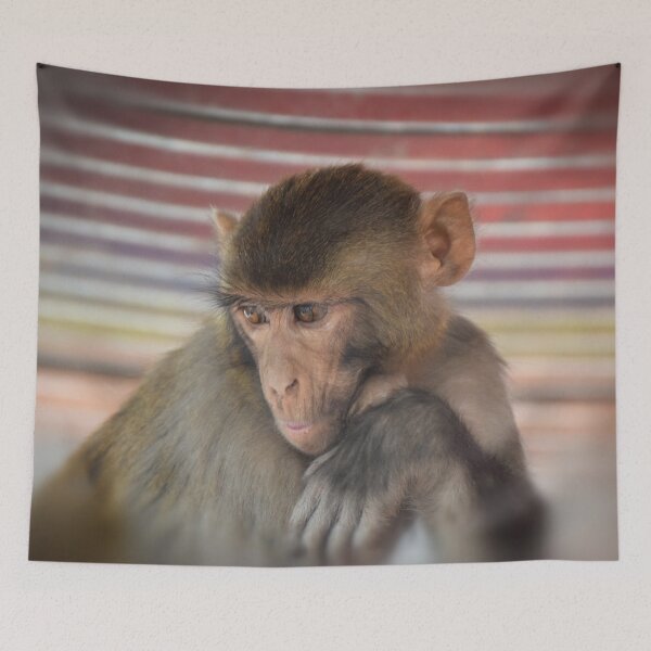 Item preview, Assamese Monkey Portrait(Nepal) designed and sold by fr3spirit7.