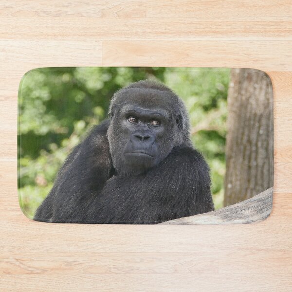 Item preview, r617/ finition 2022 : Gorilla atitude and Expression of a human by Okaio Création  Olavia - Olao designed and sold by o.okaïo.