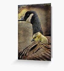 Safe from harm Greeting Card