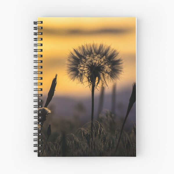 Item preview, Tragopogon designed and sold by Alla Gill.