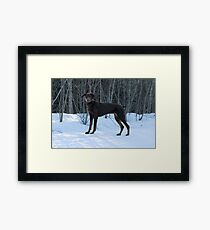 "Absorbing" the Residue Speed, Maybe :) Framed Print