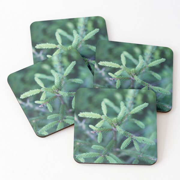 Item preview, Fir-tree branches in the forest designed and sold by myikigai.
