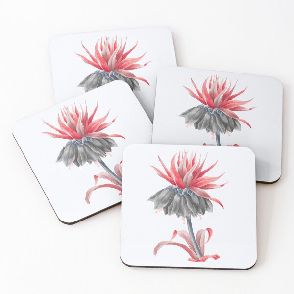 Aperçu de l'œuvre Kaisers Crown Flower, Illustration alternative - Rose noire et rouge créée et vendue par DaphneKstudio .
