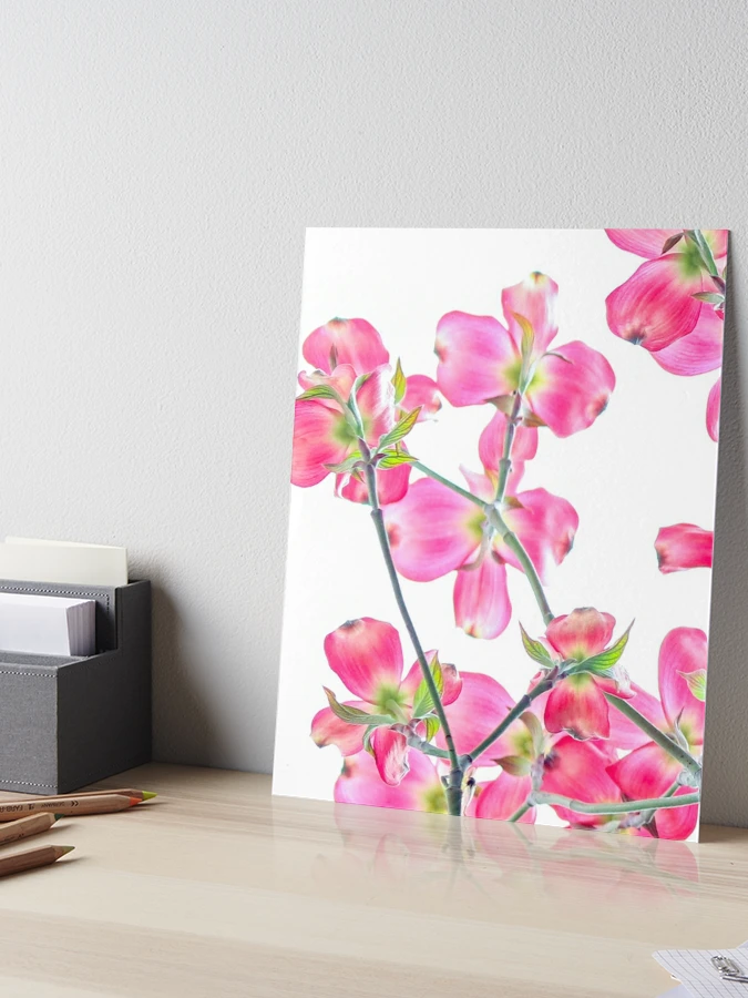 Watercolor Flower Painting on Canvas Panel 11x14. Floral Wall Art, Title:  Red Lilli 