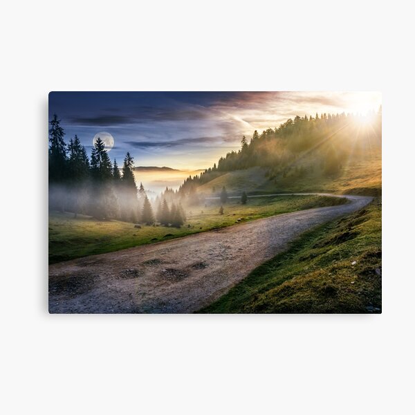 road near foggy forest in mountains Canvas Print