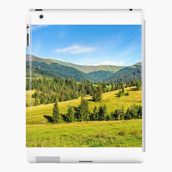 spruce forest on mountain meadow iPad Snap Case