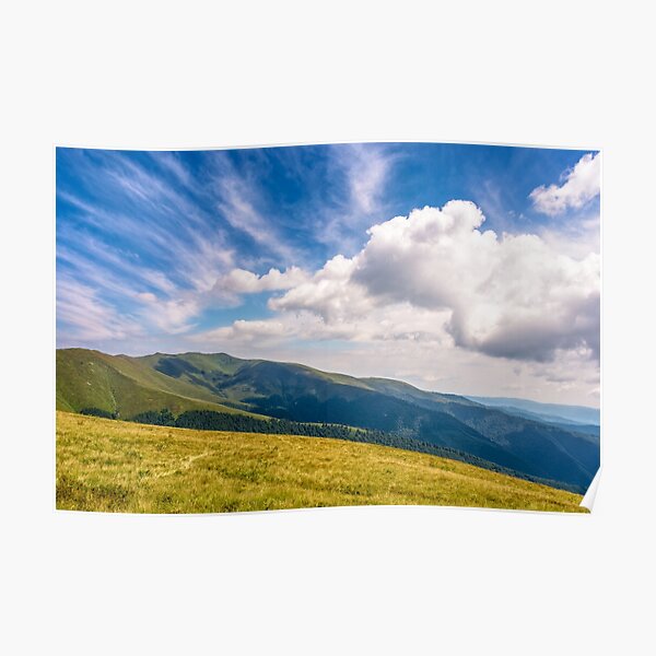 hill side meadow in summer Poster