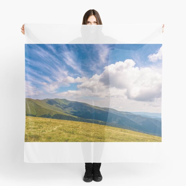 hill side meadow in summer Scarf