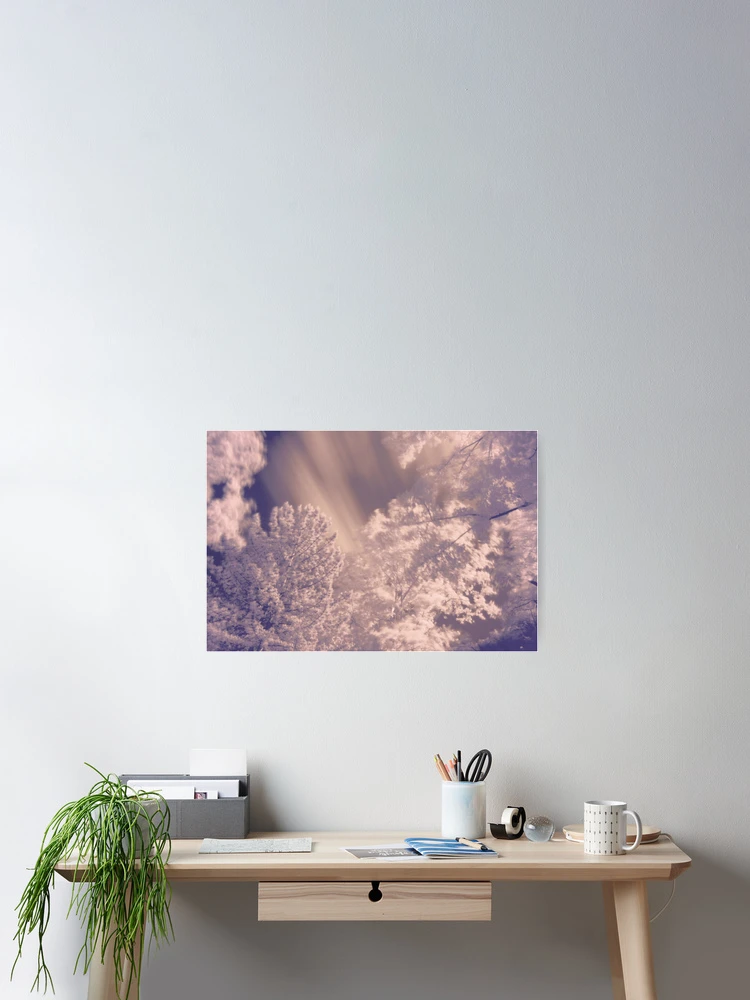 Aperçu 2 sur 3. Poster avec l'œuvre Arbres infrarouges créée et vendue par Shellyrew.