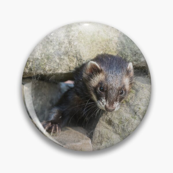 Item preview, Polecat Watercolour Photograph designed and sold by Jane Stanley Photography.