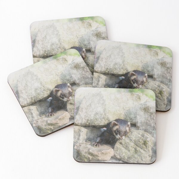 Item preview, Polecat Watercolour Photograph designed and sold by Jane Stanley Photography.