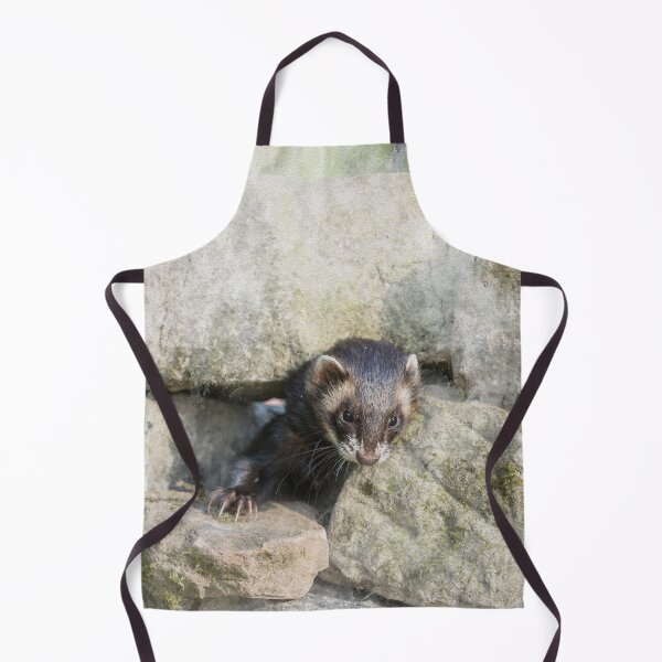 Item preview, Polecat Watercolour Photograph designed and sold by Jane Stanley Photography.