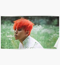 GD Poster