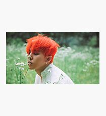 GD Photographic Print