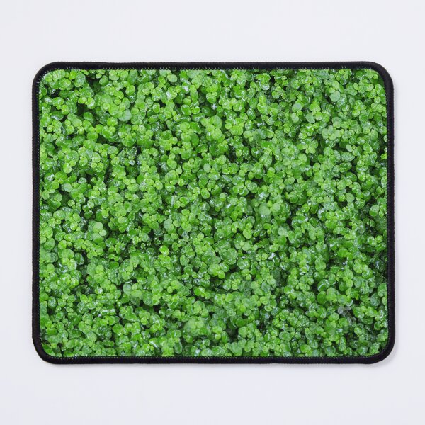 Item preview, Background of small green leaves. designed and sold by cloud7.