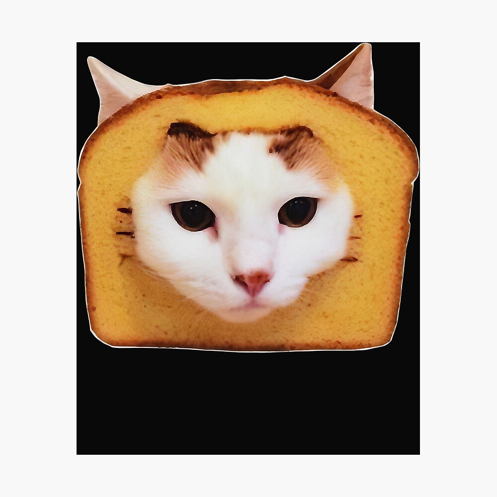 william osman bread cat