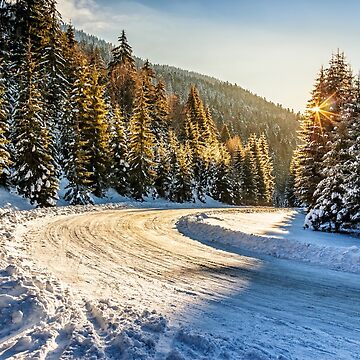 Artwork thumbnail, snowy road through spruce forest in mountains by mike-pellinni