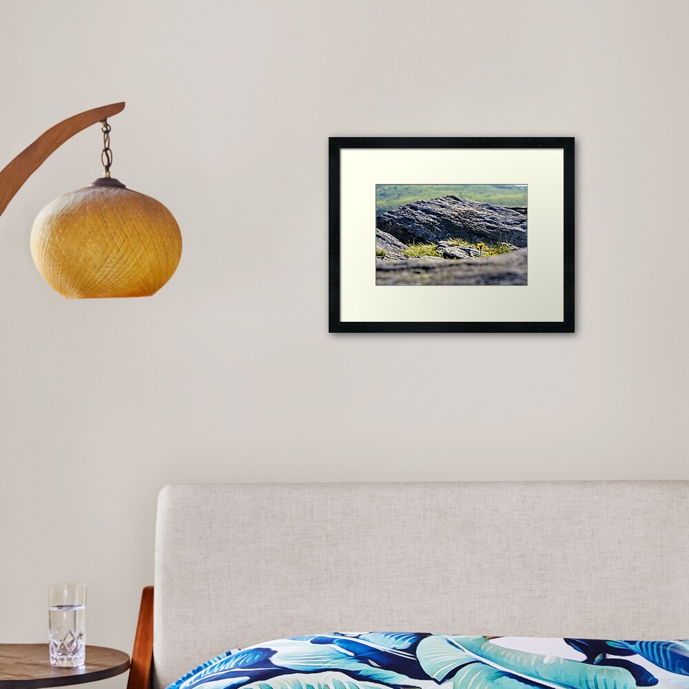 Item preview, Framed Art Print designed and sold by mike-pellinni.