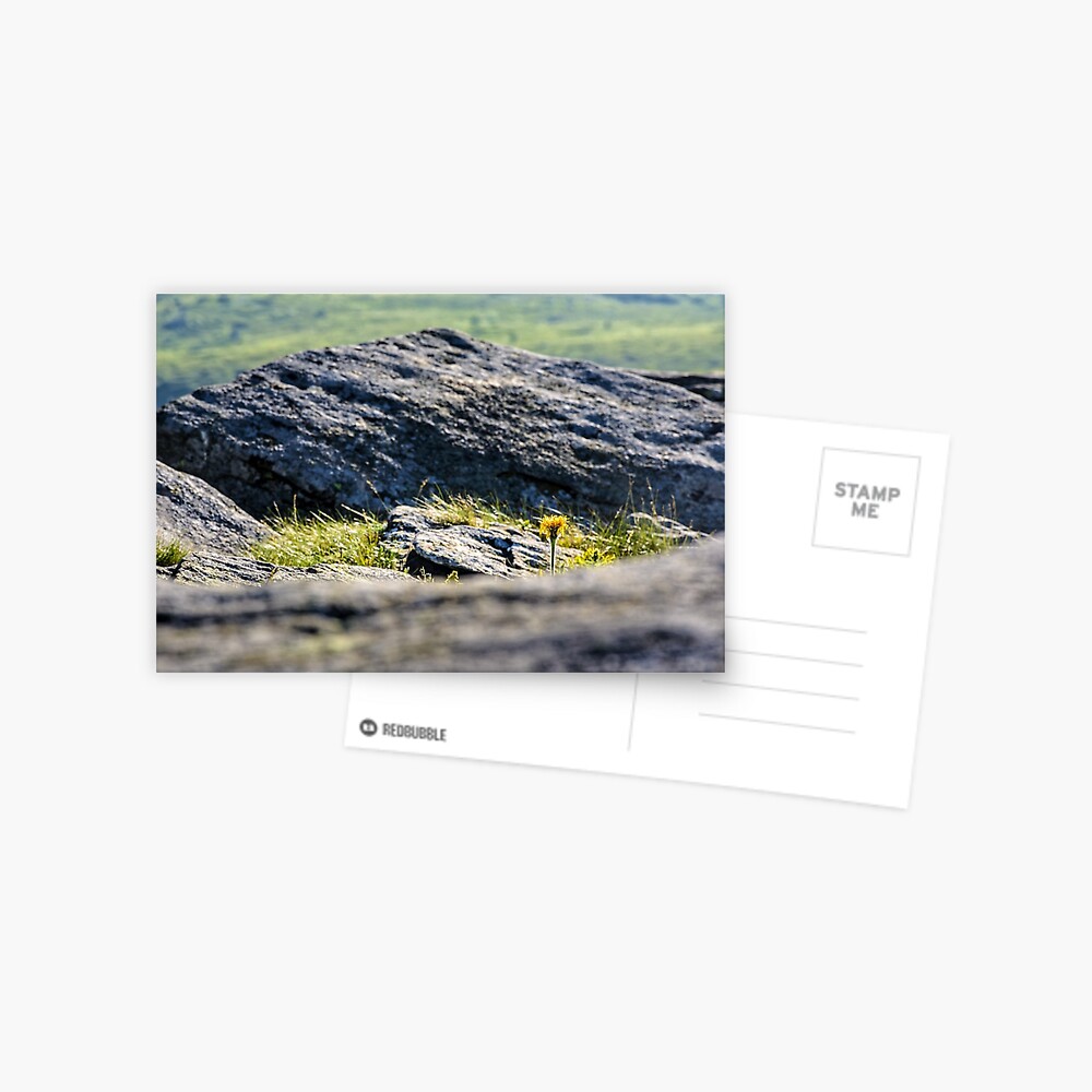 Item preview, Postcard designed and sold by mike-pellinni.