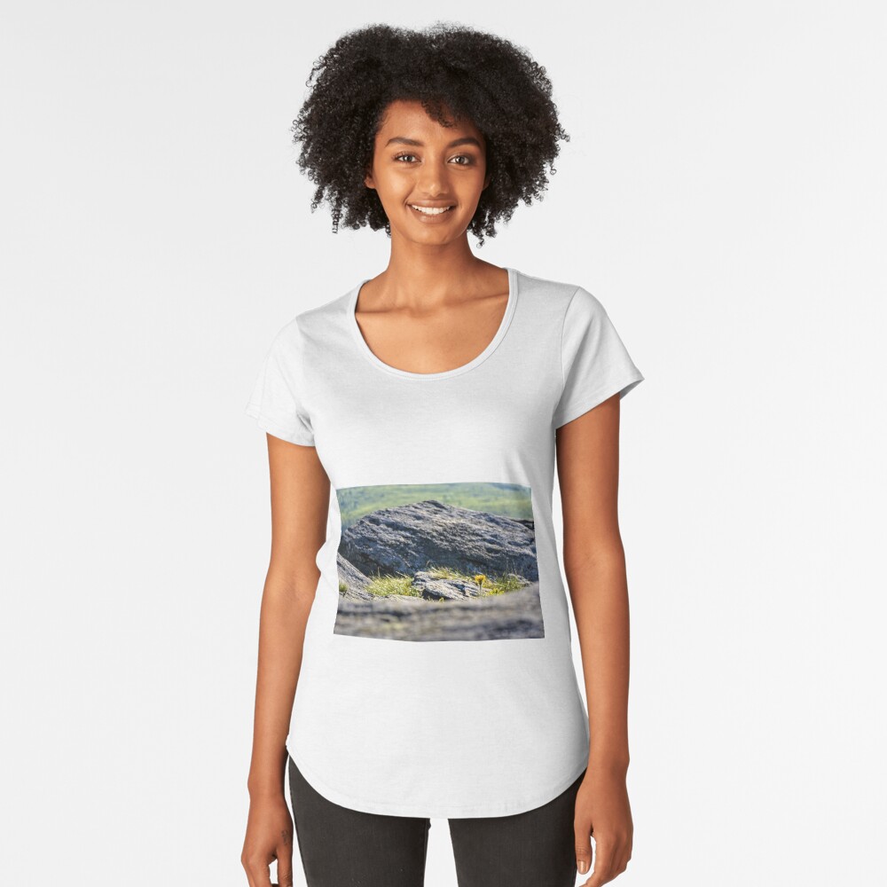 Item preview, Premium Scoop T-Shirt designed and sold by mike-pellinni.