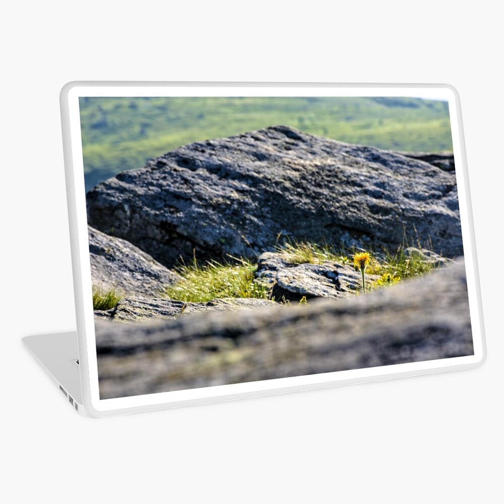 Item preview, Laptop Skin designed and sold by mike-pellinni.