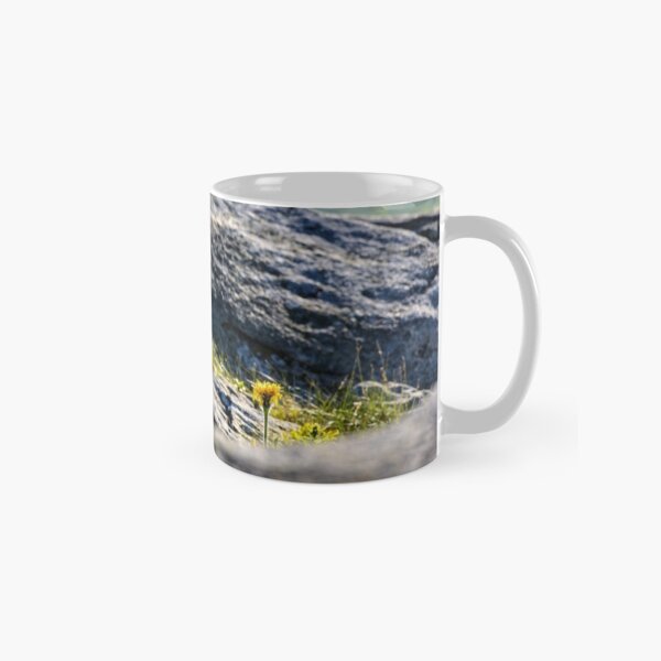 dandelion among the boulders on hill side Classic Mug