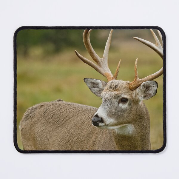 Item preview, White-tailed Deer designed and sold by Michael Cummings.