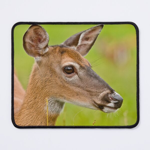 Item preview, White-tailed Deer designed and sold by Michael Cummings.