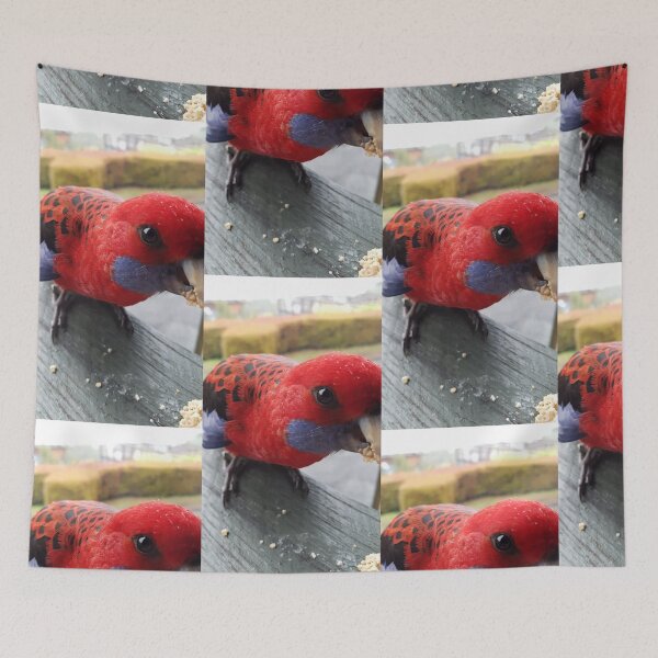 Item preview, Crimsom Rosella Close Up Side designed and sold by khanzie.