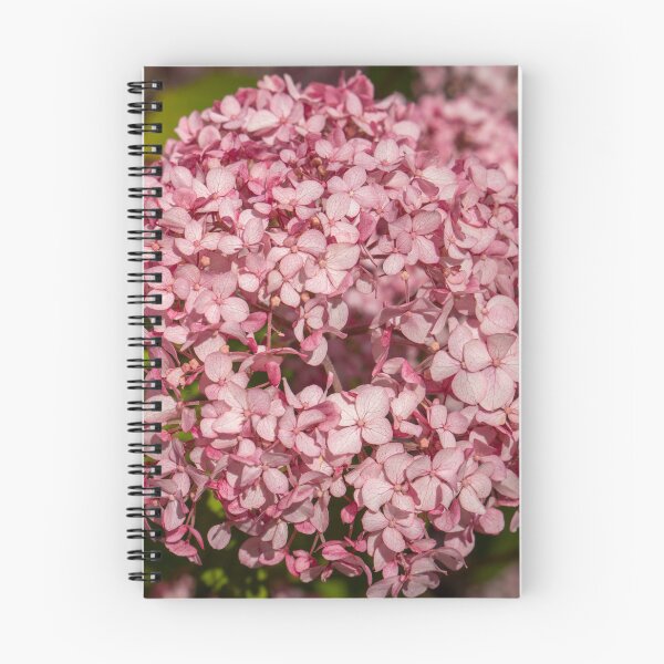 Item preview, Beautiful Pink Hydrangea Flower Closeup. designed and sold by Harmony Of The Mind.