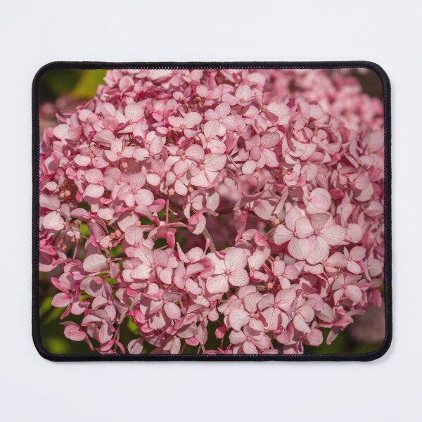 Item preview, Beautiful Pink Hydrangea Flower Closeup. designed and sold by Harmony Of The Mind.
