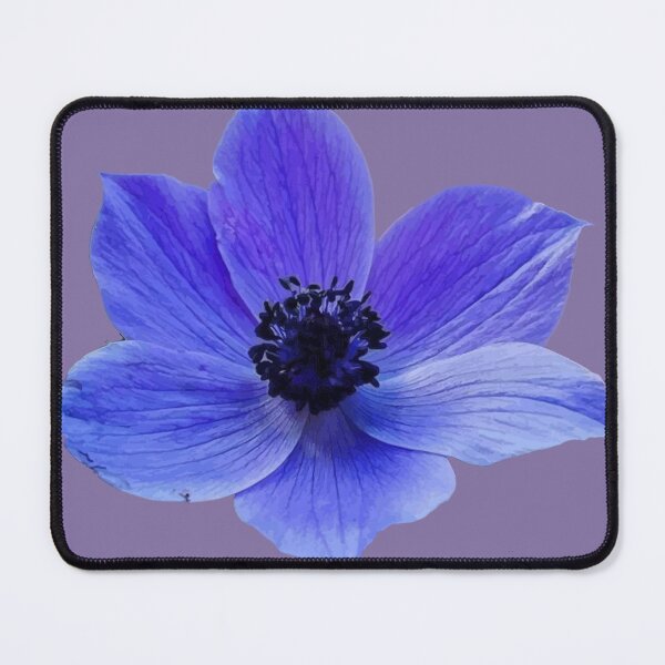 Item preview, Blue Lilac Anemone Wildflower Vector designed and sold by taiche.
