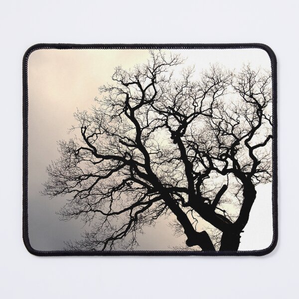 Item preview, Silhouette of a leafless tree. designed and sold by cloud7.