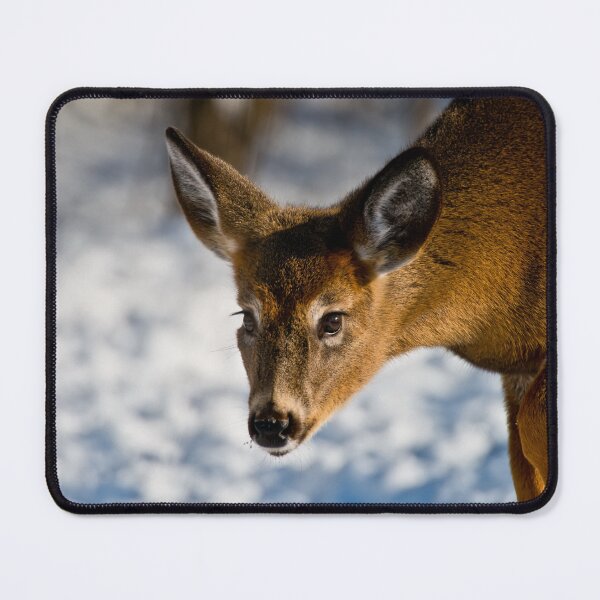 Item preview, White-tailed Deer designed and sold by Michael Cummings.