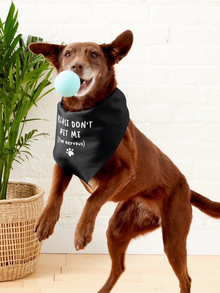 Pet me shop dog bandana